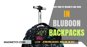 Bluboon Backpacks: Exploring the Magnet Types Used in Their Design