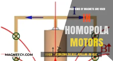 Exploring Homopolar Motor Magnets: Types and Applications Unveiled