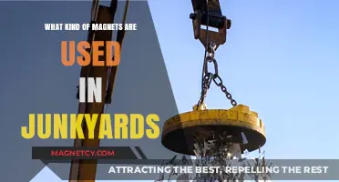 Powerful Junkyard Magnets: Types and Uses for Scrap Metal Recovery