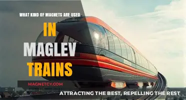 Magnetic Levitation Unveiled: Exploring Maglev Train Magnet Types and Functions