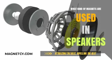 Exploring the Types of Magnets Used in Speaker Technology