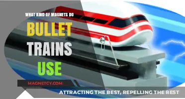 Magnetic Power in Bullet Trains: Exploring the Types of Magnets Used