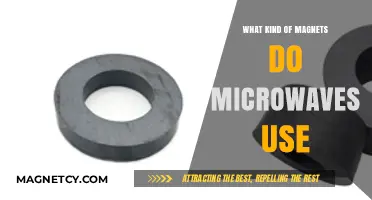 Microwave Magnets: Unveiling the Type of Magnets Inside Your Appliance