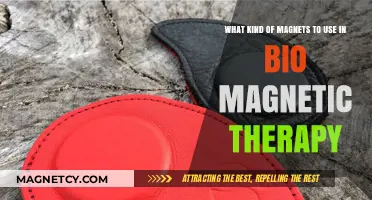 Choosing the Right Magnets for Effective Bio Magnetic Therapy