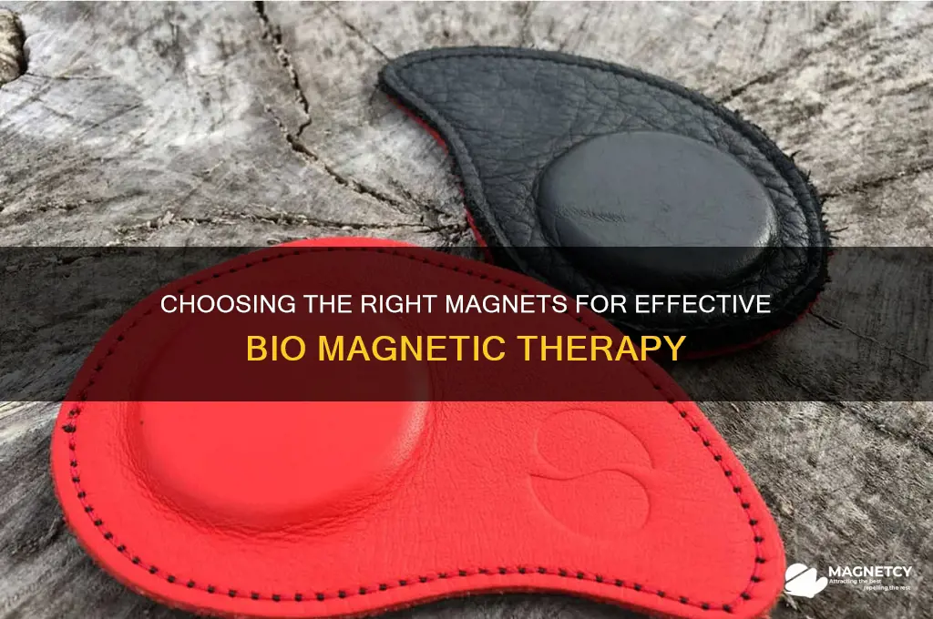 what kind of magnets to use in bio magnetic therapy