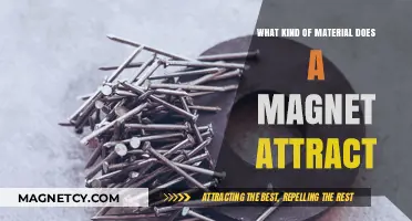 Magnetic Materials: Understanding What Metals and Alloys Magnets Attract