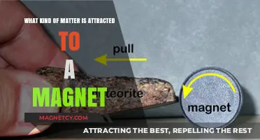 Magnetic Attraction: Exploring Which Materials Stick to Magnets