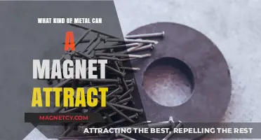 Magnetic Metals: Which Types Are Attracted to Magnets?