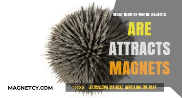 Magnetic Metals: Which Common Metal Objects Attract Magnets?