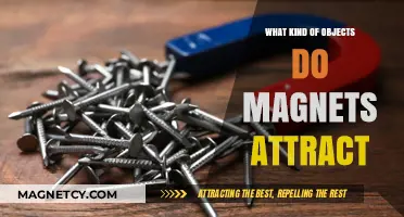 Magnetic Mysteries: Exploring Objects That Magnets Naturally Attract