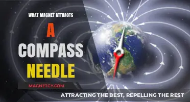 What Magnet Attracts a Compass Needle: Unraveling Earth's Magnetic Mystery