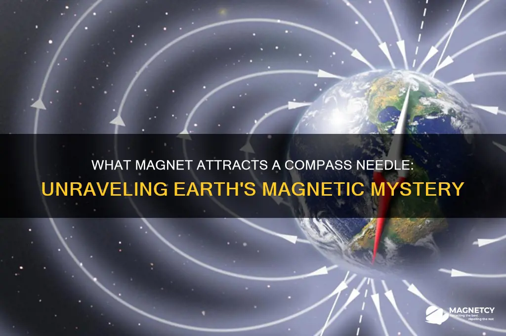 what magnet attracts a compass needle