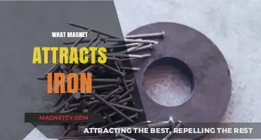 Understanding Magnetic Forces: What Magnet Attracts Iron and Why