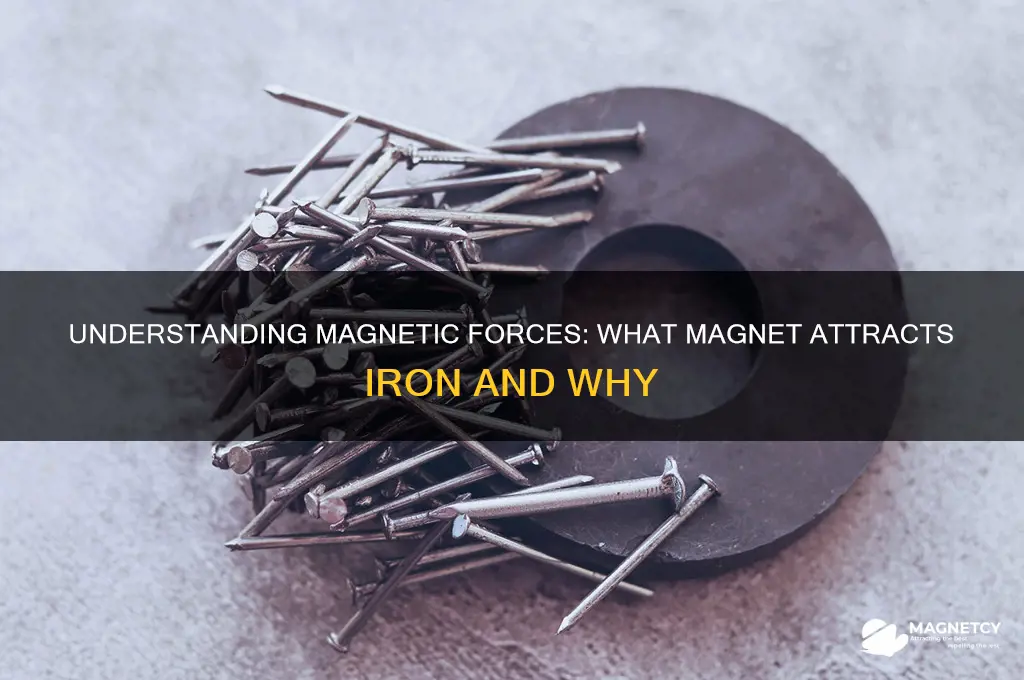 what magnet attracts iron