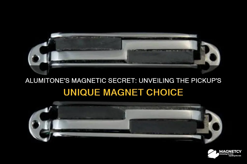 what magnet does an alumitone use