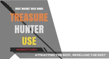 Bondi Treasure Hunter's Magnet: Unveiling the Secret Tool for Success