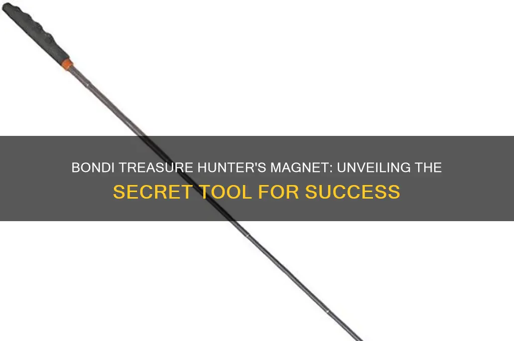 what magnet does bondi treasure hunter use