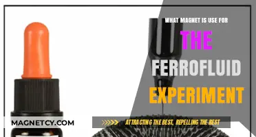 Best Magnet Types for Ferrofluid Experiments: A Comprehensive Guide