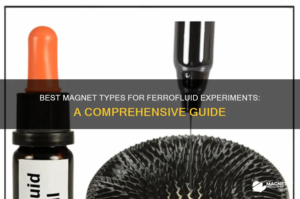 what magnet is use for the ferrofluid experiment