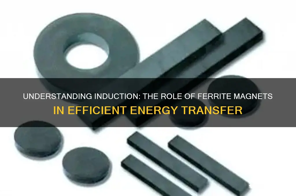 what magnet is used for induction