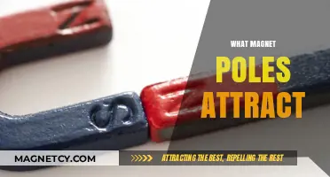 Understanding Magnetic Attraction: Which Poles Pull and Why It Matters