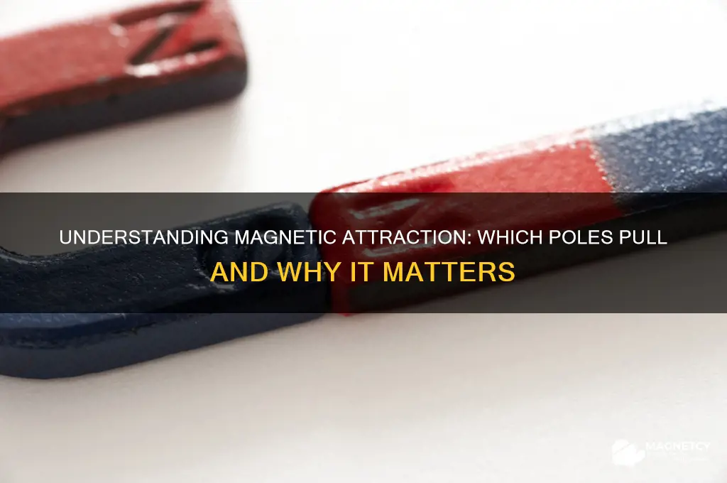 what magnet poles attract
