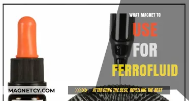 Choosing the Right Magnet for Ferrofluid Experiments: A Comprehensive Guide