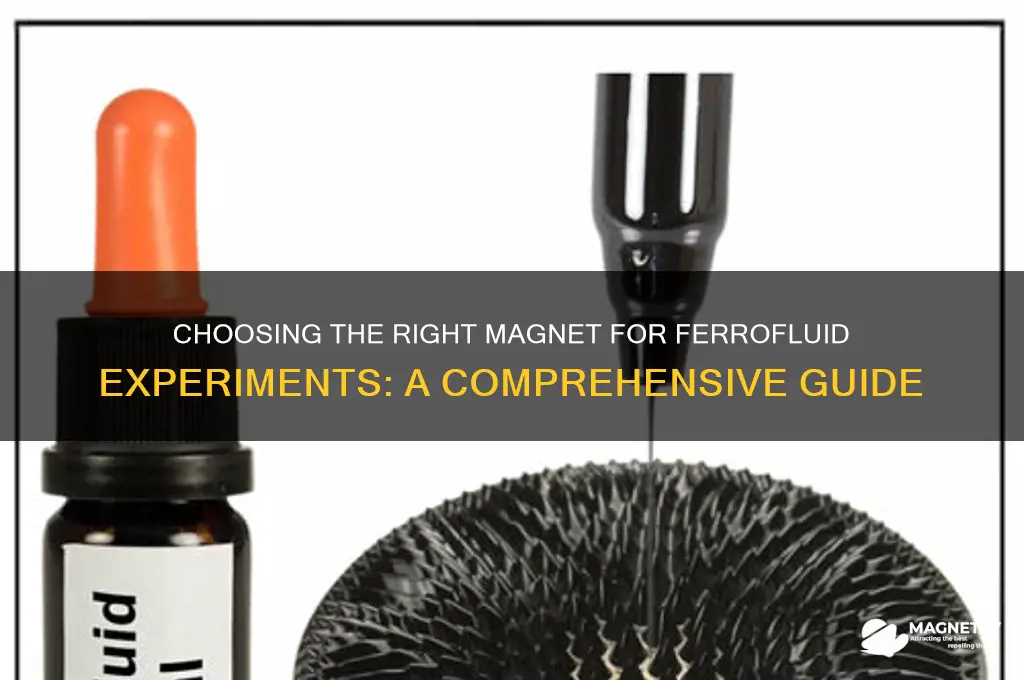 what magnet to use for ferrofluid