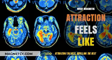 The Invisible Pull: Experiencing Magnetic Attraction's Emotional Resonance