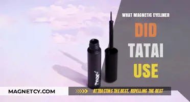 Tatai's Magnetic Eyeliner Secret: Brand and Application Tips Revealed