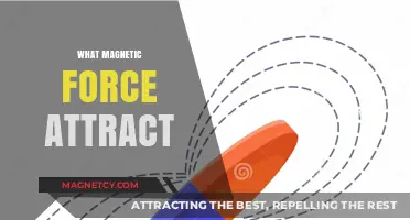 Unveiling the Magnetic Force: What Attracts and How It Works