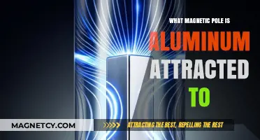 Aluminum's Magnetic Mystery: Which Pole Does It Favor?