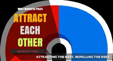 Magnetic Poles: Understanding the Attraction Between Opposite Forces