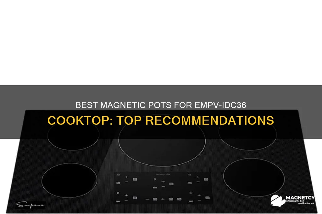 what magnetic pot i use for this model empv-idc36 cooktop