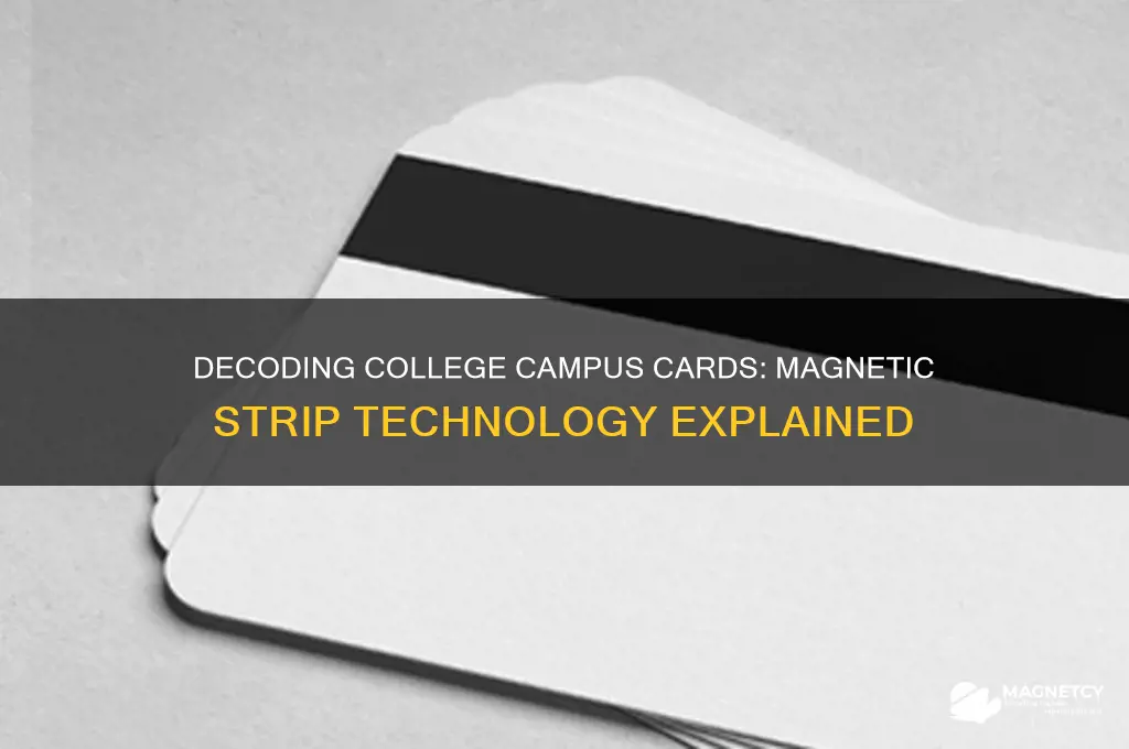 what magnetic strips do college campus cards use