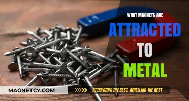 Magnetic Attraction: Understanding Which Metals Magnets Stick To