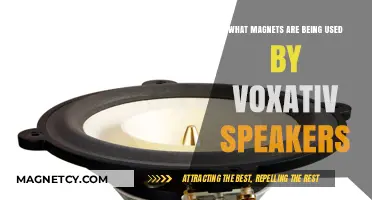 Voxativ Speakers' Magnetic Power: Unveiling the Rare Earth Magnets Inside
