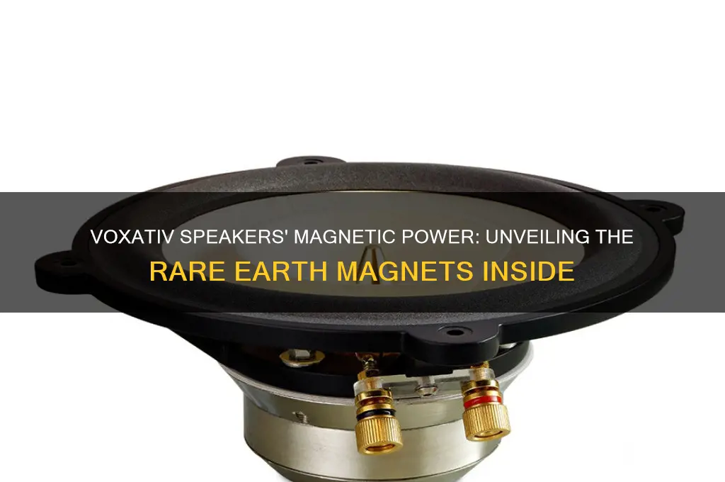 what magnets are being used by voxativ speakers