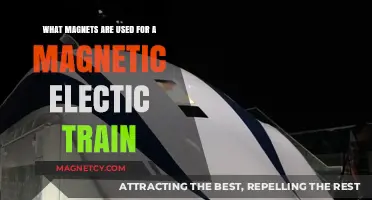 Magnetic Levitation Trains: Exploring the Role of Powerful Magnets