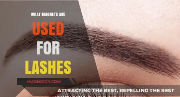 Magnetic Lashes: How Magnets Secure and Enhance Your Lash Look