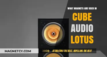 Magnetic Secrets: Exploring Cube Audio Lotus Speaker Technology