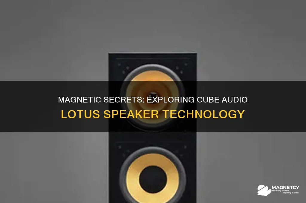 what magnets are used in cube audio lotus