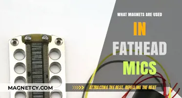 Magnets Inside Fathead Mics: Unveiling the Core Components