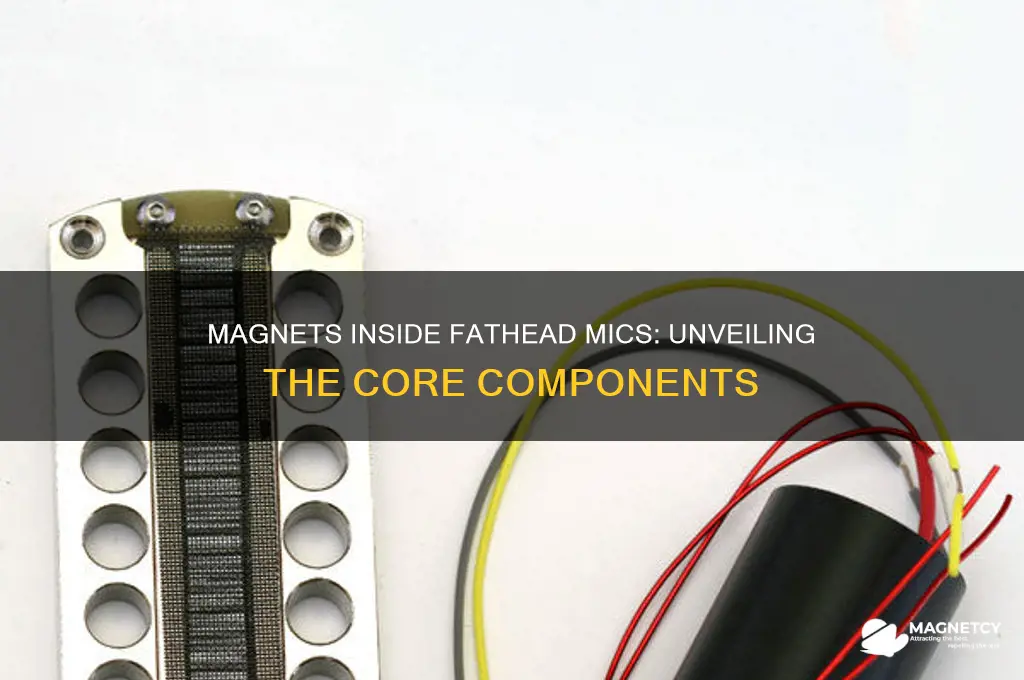 what magnets are used in fathead mics