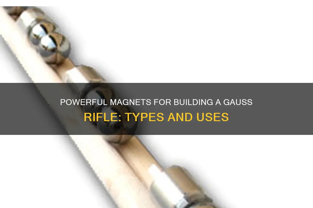 what magnets are used to make a gauss rifle