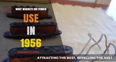 Fender's 1956 Magnetic Secrets: Unveiling the Vintage Pickup Power
