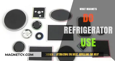 Understanding the Types of Magnets Used in Refrigerators: A Guide