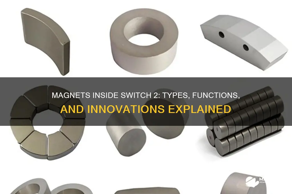 what magnets do switch 2 use