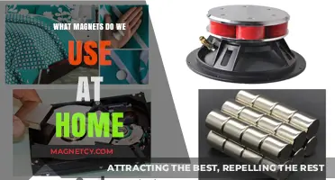Everyday Magnets: Exploring Common Household Uses and Applications