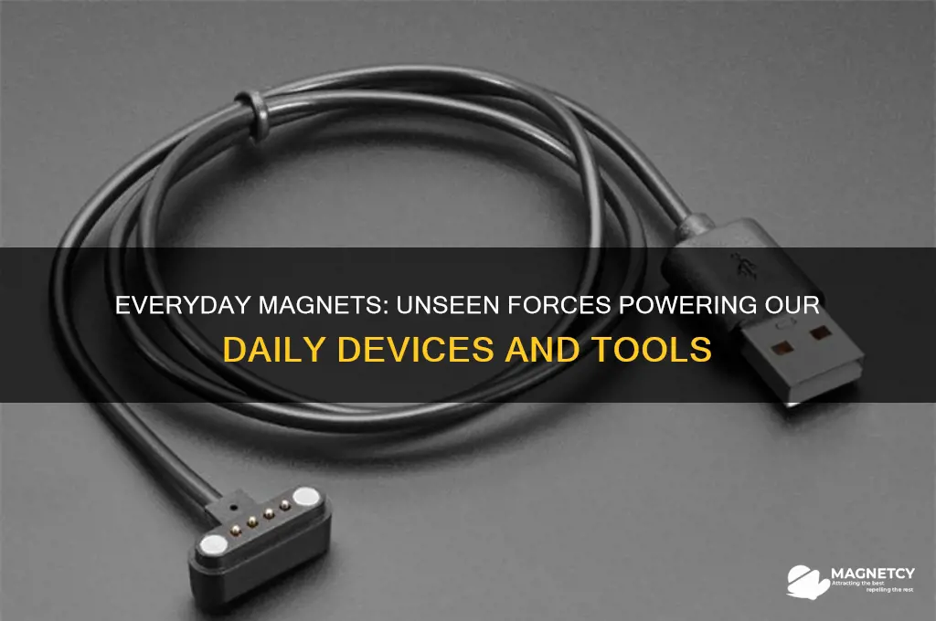 what magnets do we use in everyday life